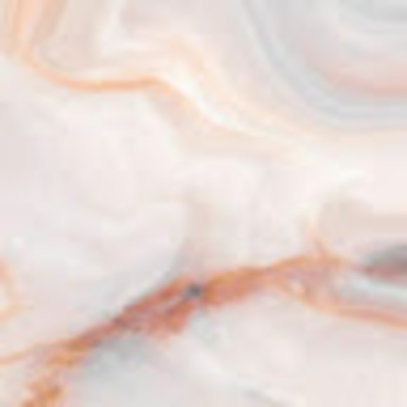 Meet your Posher, Rylee - Picture 1 of 1